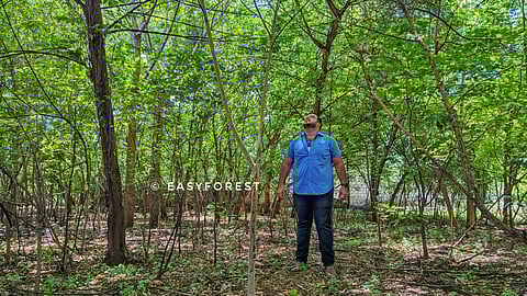 EasyForest’s Dense Forests: Pioneering Sustainable Green Spaces in Urban India