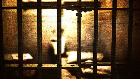 Image for Representation