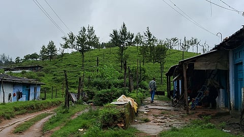 Tamil Nadu SIR: 650 Manjolai Estate residents left out of final voter list