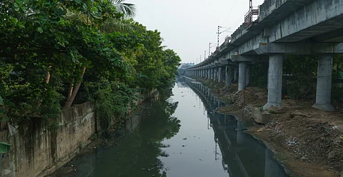 A part of the Buckingham Canal.