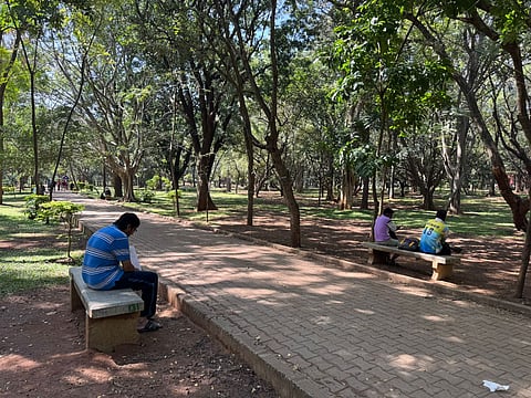 Cubbon Park