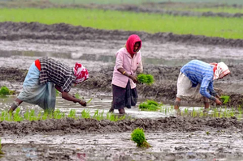 TN agriculture dept to boost farmer awareness for ‘Agristack’ portal enrolment