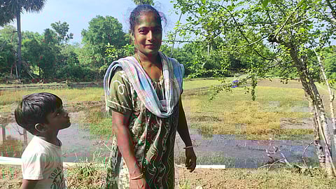 An organic farmer in Nagapattinam district with the seeds of Kallurundai, a traditional rice variety. Behind her is her farm, to be readied for sowing.