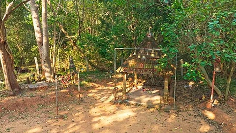 TN govt declares Kasampatty sacred grove as biodiversity heritage site