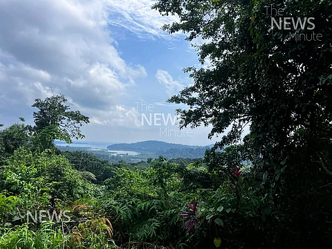 The image showcases a lush green landscape with dense foliage in the foreground and rolling hills in the background. The sky is partly cloudy with patches of blue visible through the clouds. A water body can be seen in the distance, adding to the scenic view. The vegetation includes a mix of trees, shrubs, and flowering plants, creating a vibrant and diverse natural setting.