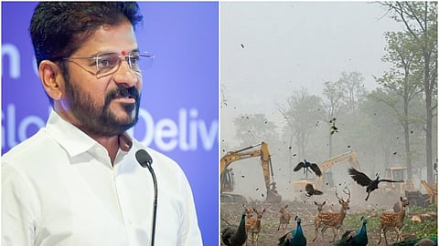 On the left, Telangana CM Revanth Reddy in a white shirt and glasses stands at a podium speaking into a microphone, against a blue background with partial text. On the right, AI-generated visuals of a forest scene shows deer and peacocks fleeing as bulldozers clear the area, with dust and leaves flying in the air.