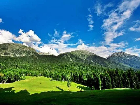 A scenic view of Baisaran Valley in Pahalgam, Kashmir, with lush green meadows in the foreground, dense pine forests in the middle, and towering snow-capped mountains under a bright blue sky with scattered clouds.
