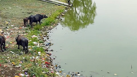 TN Coastal authority fines NHAI for dumping excavated material in Odiyur lagoon