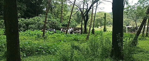 Karnataka mass burial case: SIT continues digging work at suspected sites for 4th day