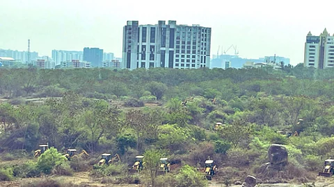 SC asks Telangana to restore green cover on Kancha Gachibowli land