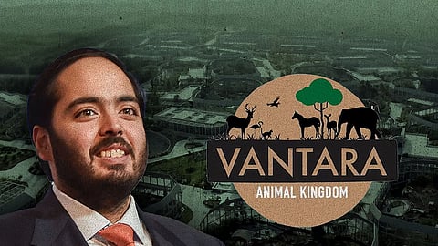 SC accepts SIT report giving clean chit to Vantara on animal acquisitions