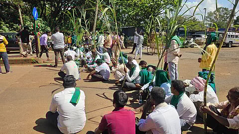 Explainer: Why Karnataka’s sugarcane farmers are protesting
