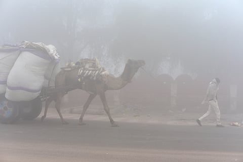 Dense fog blankets parts of Rajasthan; visibility drops in many areas