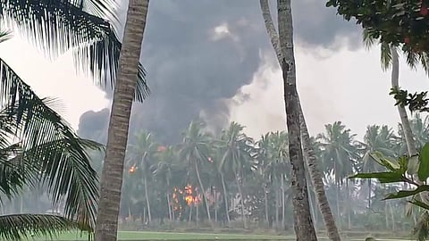 A wide landscape shot captures a large fire burning within a dense grove of coconut palm trees under a pale, overcast sky. Intense orange flames are visible through the trunks of the trees in the center of the frame, sending a massive, billowing plume of thick, dark grey and black smoke high into the air. In the foreground, the edges of large palm fronds and a bright green field are visible, framing the scene. The smoke dominates the upper half of the image, contrasting sharply with the tropical greenery below.