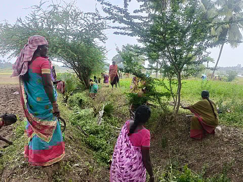 More days on paper, less work in reality: New VB-G RAM G scheme leaves women in TN worried