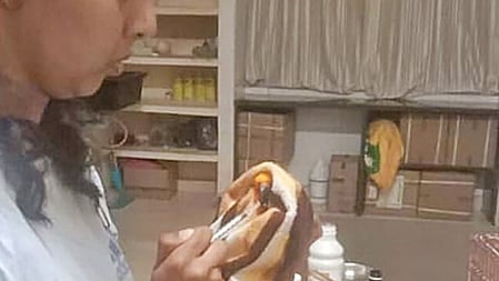 Veterinarian killed in hippopotamus attack in zoo, K'taka govt orders probe