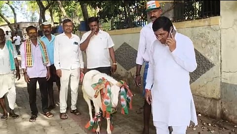 Karnataka bypolls: Voting crosses 20 pc in first four hours; Cong candidate brings a ram near polling booth