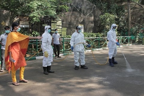 Bird Flu outbreak contained in Bengaluru, no human cases detected: Karnataka Health Dept