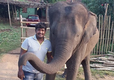 Selfie attempt kills man in Bengaluru’s Bannerghatta Park, elephant tramples him to death