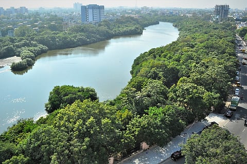 The rehabilitated ecopark around the Adyar creek. 