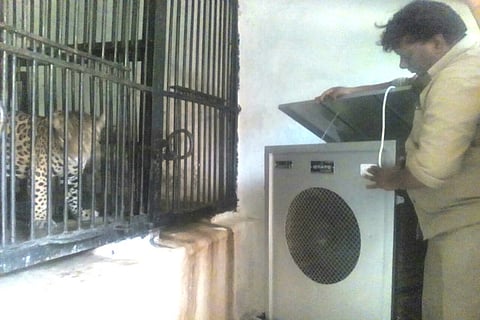 Check out Hyderabad zoo’s plans to keep the animals thanda-thanda cool-cool in the heat