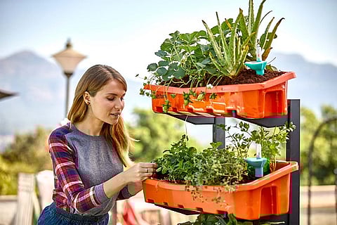 Backyard farms are passé, this startups helps you build a farm in your bedroom