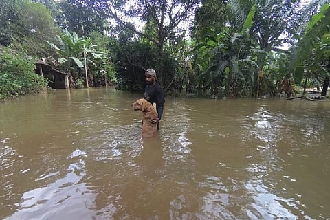 Found animals tied, distressed, scared: Volunteers recount rescue in Kodagu, Kerala