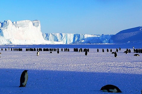Antarctica may not be as isolated as we thought, and that's a worry