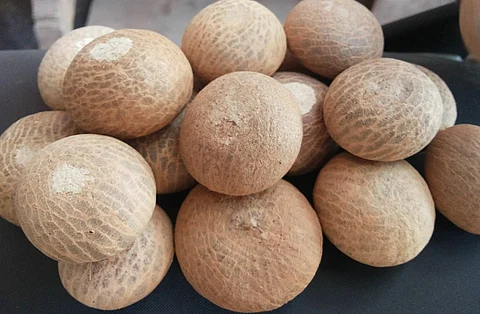 'Sirsi Supari' areca nut from Uttara Kannada district gets GI tag