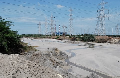 Dirty water and toxic fish: Panel finds Ennore Creek severely polluted by fly ash