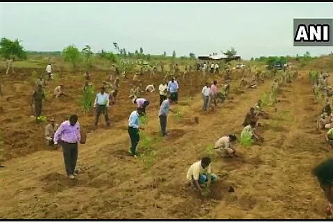 Telangana Forest dept resumes plantation drive a day after attack on its officer