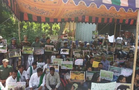 Kerala CM’s push for Bandipur elevated corridor irks environmentalists in both states