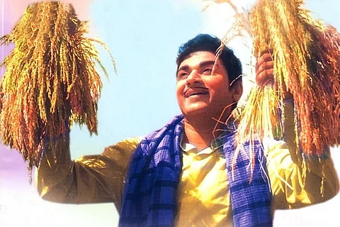 'Bangarada Manushya': How this Kannada classic inspired many to take up farming