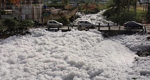 Cannot clean Bellandur lake in a month, target achievable only by 2020: K'taka govt