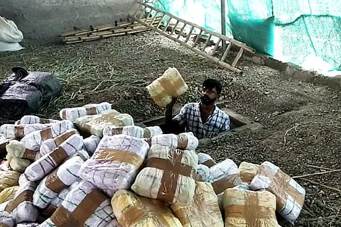 Bengaluru police seize 1,350 kg marijuana stored in a goat farm
