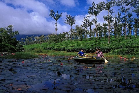 Evergreen forests to enchanting views, Nelliyampathy is not the clichéd ‘hill station’
