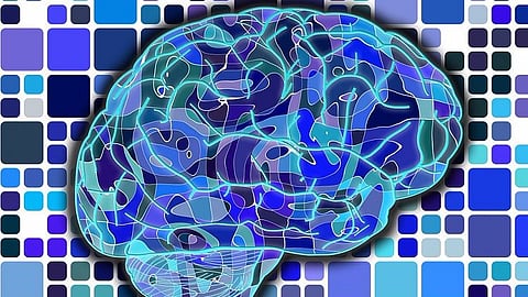 Illustration of the brain