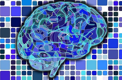 Will 'mid-brain activation' really produce super-kids or is it a scam?