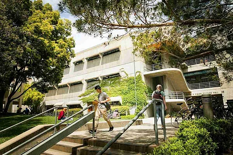 California State University
