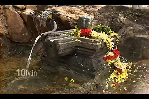 Row over 'tantric' ritual in Andhra temple, minister orders probe
