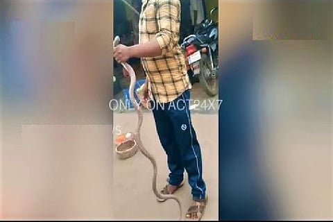 Video: Andhra man wraps cobra around his neck, it bites and kills him