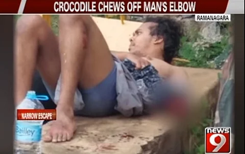 Crocodile bites off Bengaluru man’s arm, and he may now face trespassing charges