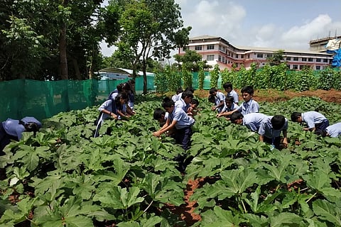 Back to the roots: This Mangaluru school has made agriculture a compulsory subject