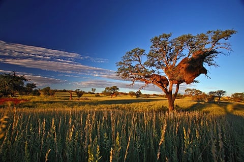 Forever and For Good: How diamond mines impact local communities