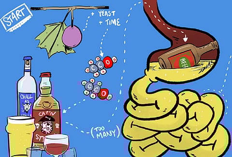 Drink, drank, drunk: What happens when we drink alcohol, in four short videos