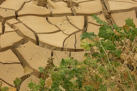 There's a reason why experts are calling the Karnataka drought this year 'unique'