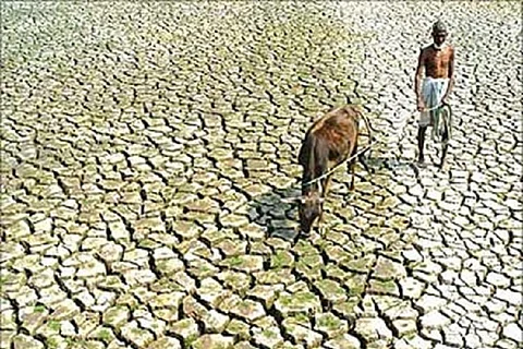 Farmer suicides, water rationing, cattle deaths: Chikkamagaluru’s water woes