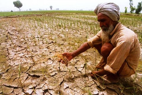 Nine farmers commit suicide daily in drought-hit Maharashtra