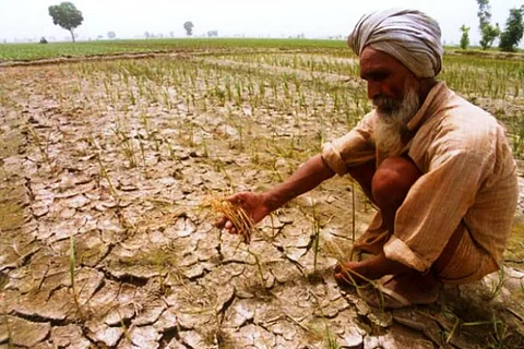 With Karnataka declared drought affected, experts warn of worst water crisis in the state