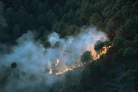 Not just Uttarakhand, Uttara Kannada has had 83 forest fires in 2016 already